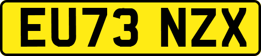 EU73NZX