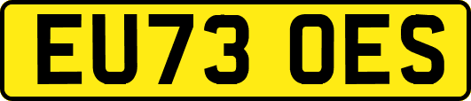 EU73OES