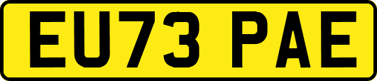 EU73PAE