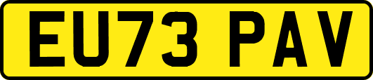 EU73PAV
