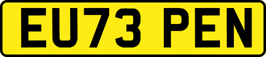 EU73PEN
