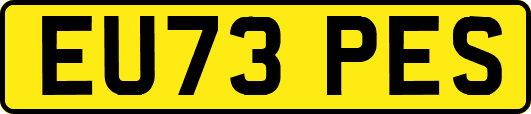 EU73PES