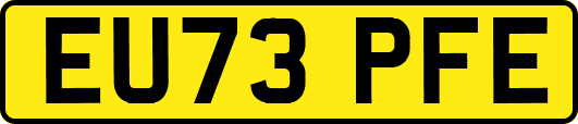 EU73PFE
