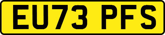 EU73PFS