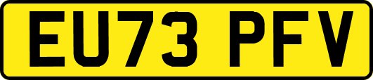 EU73PFV