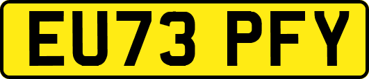 EU73PFY