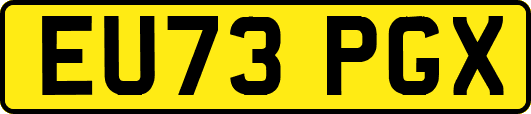 EU73PGX