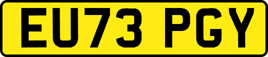 EU73PGY
