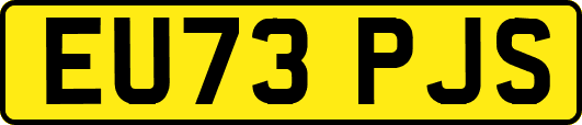 EU73PJS