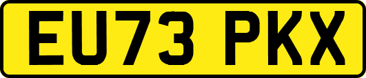 EU73PKX