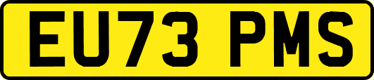 EU73PMS