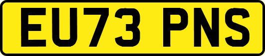 EU73PNS
