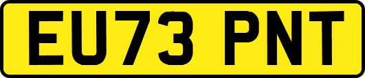 EU73PNT