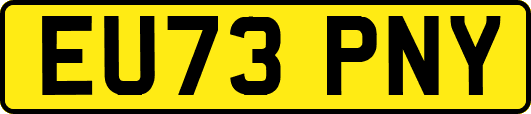 EU73PNY