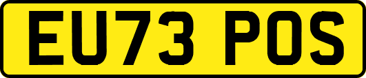 EU73POS