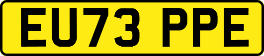 EU73PPE