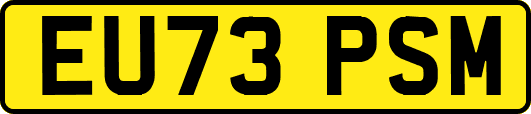 EU73PSM