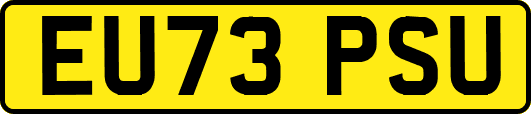 EU73PSU