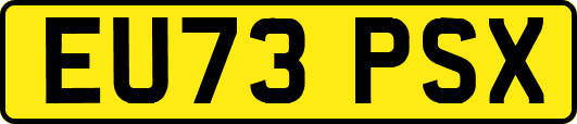 EU73PSX