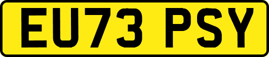 EU73PSY