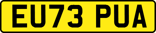 EU73PUA