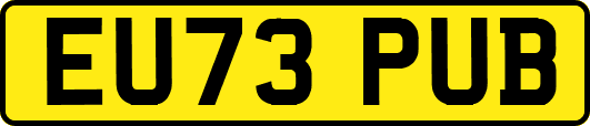 EU73PUB