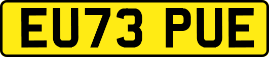 EU73PUE