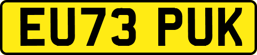 EU73PUK