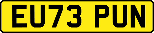 EU73PUN