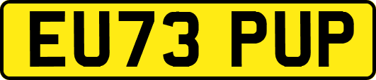 EU73PUP