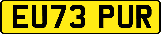 EU73PUR