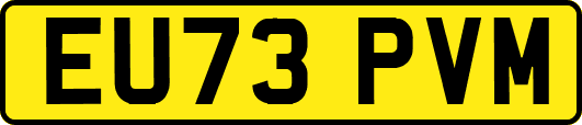 EU73PVM