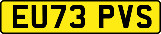 EU73PVS