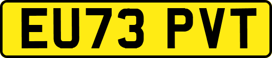 EU73PVT