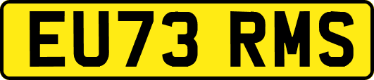 EU73RMS