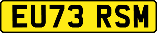 EU73RSM