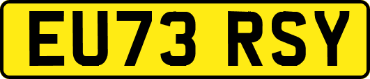 EU73RSY