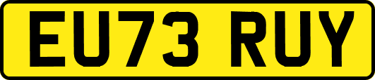 EU73RUY