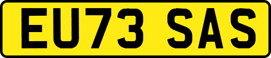 EU73SAS
