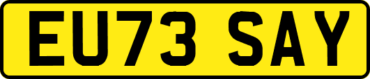EU73SAY