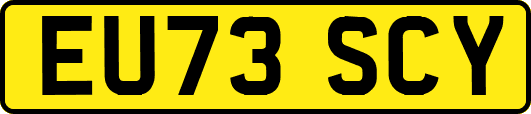EU73SCY