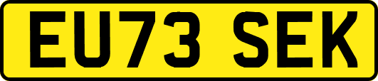 EU73SEK