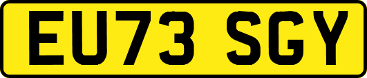 EU73SGY