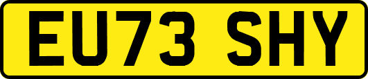 EU73SHY