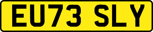 EU73SLY