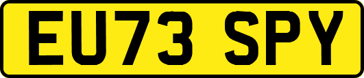 EU73SPY