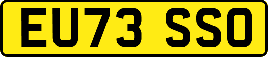 EU73SSO