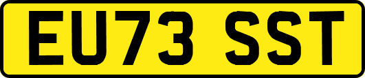 EU73SST