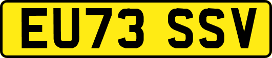 EU73SSV