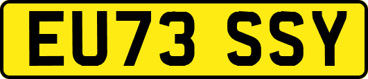 EU73SSY